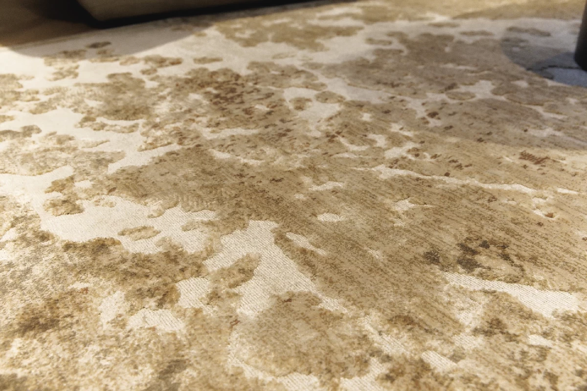 Tapis - Maison symbiose Rouen